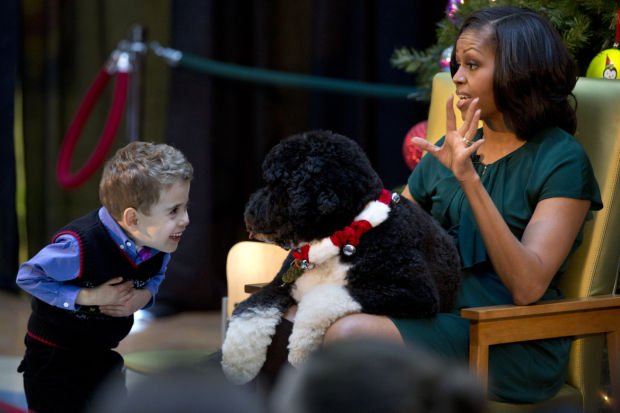 Bo the White House dog